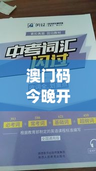 澳门码今晚开什么特马67期,快速处理计划_贴心版TYE4.30