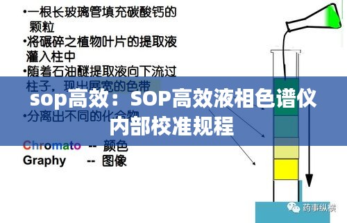 sop高效：SOP高效液相色谱仪内部校准规程 