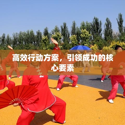 高效行动方案，引领成功的核心要素