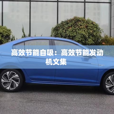高效节能自吸：高效节能发动机文集 