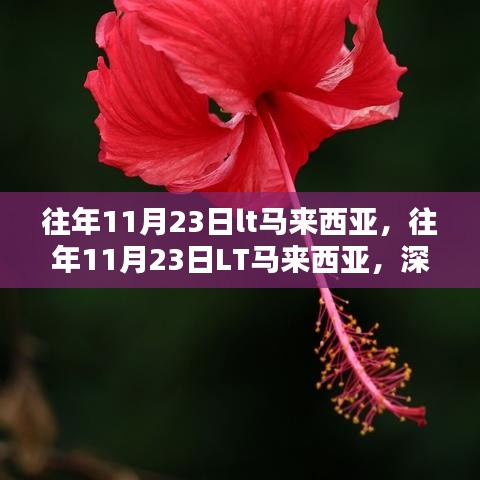 支付优惠 第389页