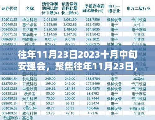 安理会重要议题与决策动向，聚焦往年11月23日（十月中旬版）回顾与展望