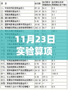 关于11月23日实验是否算作项目的探讨
