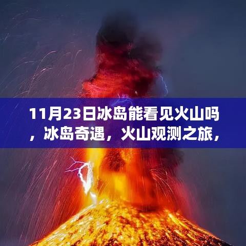 支付优惠 第388页