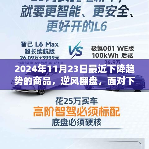 逆风翻盘，如何应对下降趋势商品挑战，学习变化成就自信与辉煌之路（2024年11月23日）
