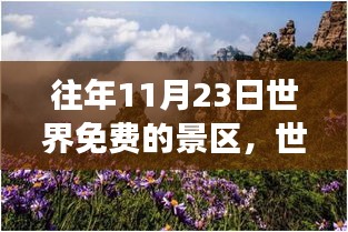 分类 第377页