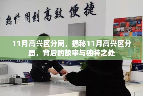 揭秘，11月高兴区分局的独特之处与背后故事