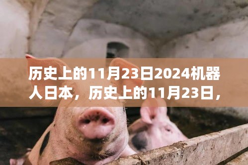 探索日本机器人技术的演变与未来，全方位指南（历史上的11月23日，聚焦2024年）