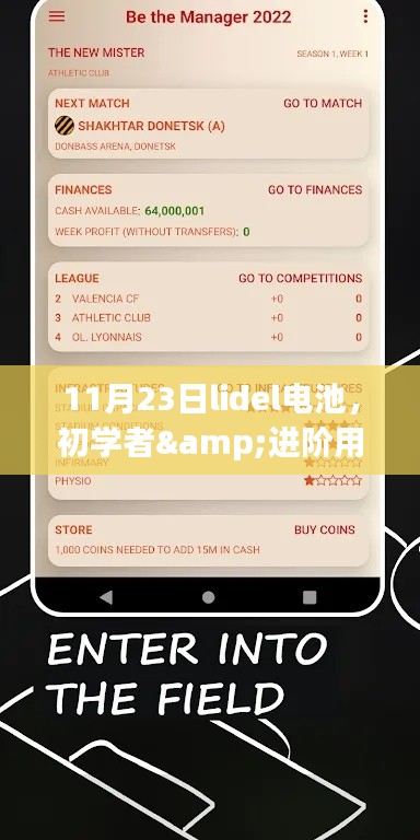 11月23日Lidel电池使用指南，从初学者到进阶用户全面解析
