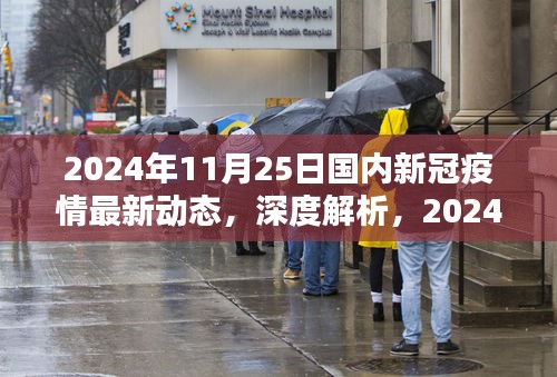 2024年11月25日国内新冠疫情最新动态深度解析与目标用户群体分析