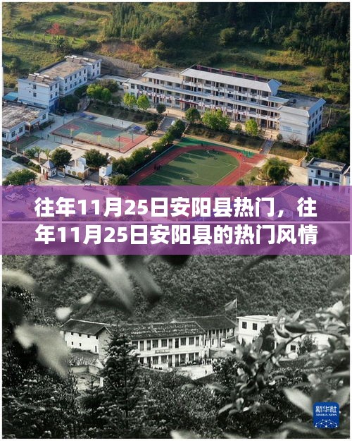 鸟语蝉鸣 第4页