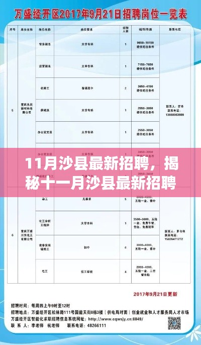 揭秘十一月沙县最新招聘热点，职业机会、发展前景展望