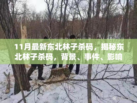揭秘东北林子杀码，背景、事件、影响与时代地位解析