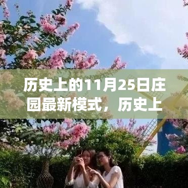 历史上的11月25日庄园最新模式揭秘，探索未知的游戏世界