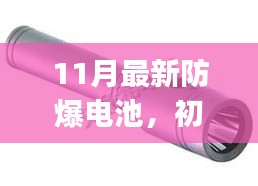 11月最新防爆电池，初学者&进阶用户适用11月最新防爆电池使用指南，全面解析如何完成安装与运用