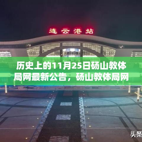 历史上的11月25日砀山教体局网公告发布与步骤指南解读