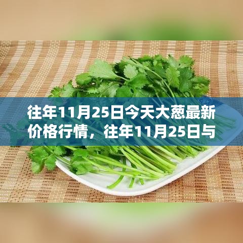 深度解析，往年11月25日与今日大葱价格走势及最新行情报告