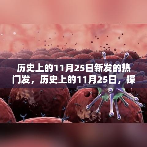 探索热门技能学习之路，历史上的11月25日新发现与成长之路