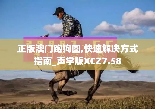 正版澳门跑狗图,快速解决方式指南_声学版XCZ7.58