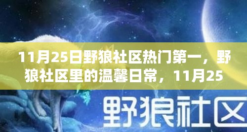 野狼社区友情派对，温馨日常与热门第一的庆典