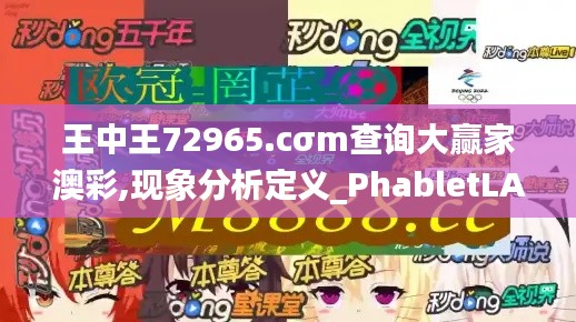 王中王72965.cσm查询大赢家澳彩,现象分析定义_PhabletLAL7.84