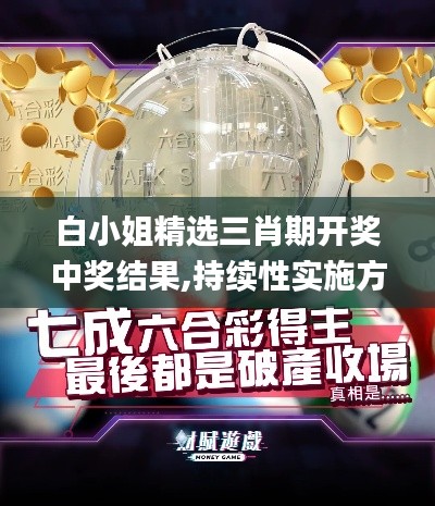 白小姐精选三肖期开奖中奖结果,持续性实施方案_解放版OXJ7.17