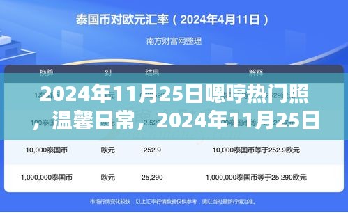 温馨日常，与嗯哼共度的美好时光——2024年11月25日记录