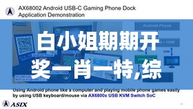 白小姐期期开奖一肖一特,综合计划评估_多功能版GSJ7.72