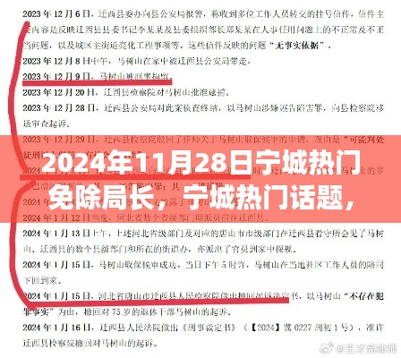 揭秘宁城免职局长背后的故事，背后的真相与热议事件回顾