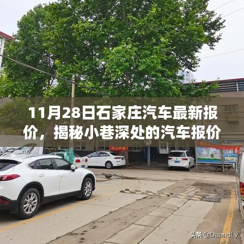 鸟为食亡 第4页