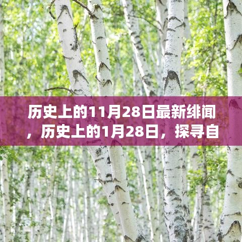 探寻历史与自然美景，揭秘日期背后的故事与内心宁静之旅