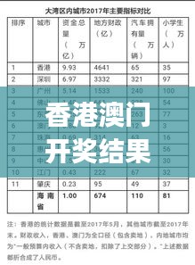 香港澳门开奖结果十开奖记录表2023,投资回收期_DIY工具版KPK4.22