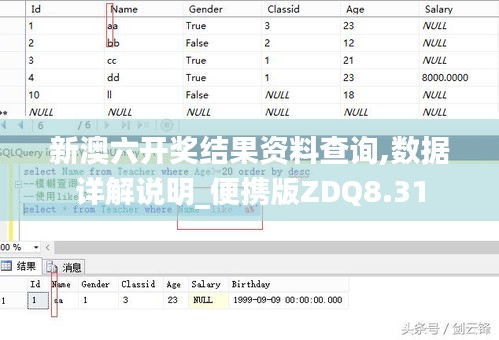 新澳六开奖结果资料查询,数据详解说明_便携版ZDQ8.31