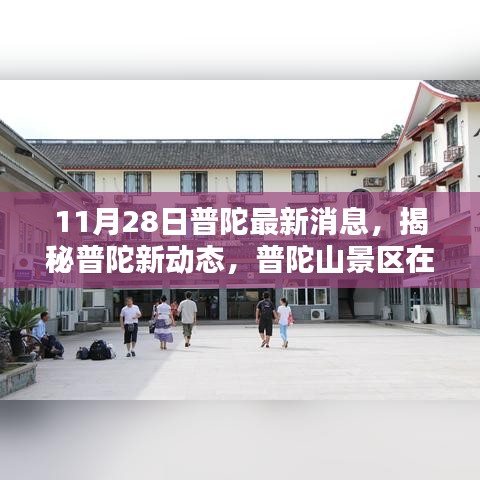 普陀最新动态揭秘，11月28日普陀山景区更新消息