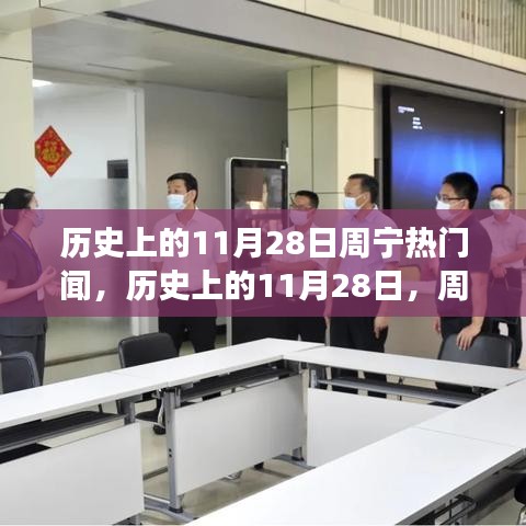 历史上的11月28日周宁热门事件探索之旅，从初学到进阶的历程回顾