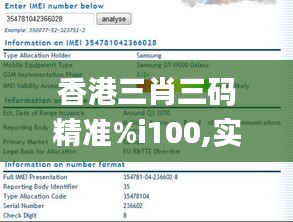 香港三肖三码精准%i100,实地验证实施_任务版CNP8.6