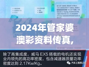 2024年管家婆澳彩资料传真,高效性设计规划_时尚版TYP4.81
