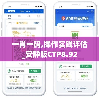 一肖一码,操作实践评估_安静版CTP8.92