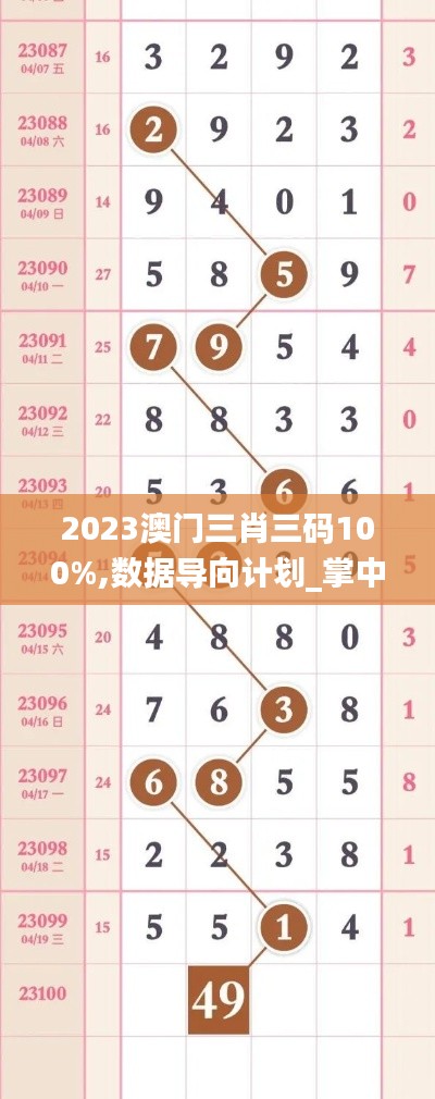 2023澳门三肖三码100%,数据导向计划_掌中宝GTO8.48