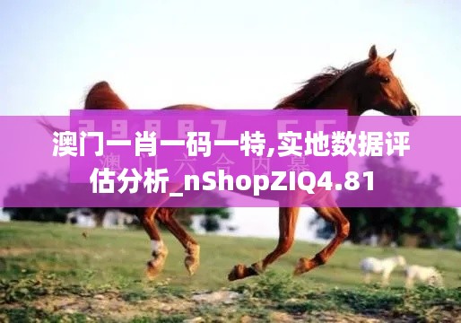 澳门一肖一码一特,实地数据评估分析_nShopZIQ4.81