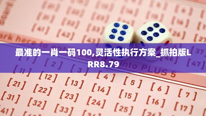 最准的一肖一码100,灵活性执行方案_抓拍版LRR8.79