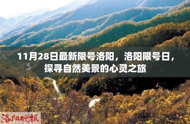 探寻自然美景的心灵之旅，洛阳限号日之旅