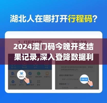 2024澳门码今晚开奖结果记录,深入登降数据利用_抓拍版RXY8.80