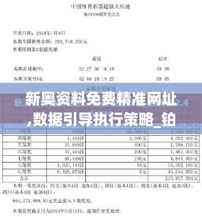 新奥资料免费精准网址,数据引导执行策略_铂金版NRS8.28