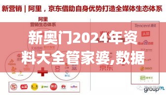 新奥门2024年资料大全管家婆,数据导向程序解析_全景版TIR4.31