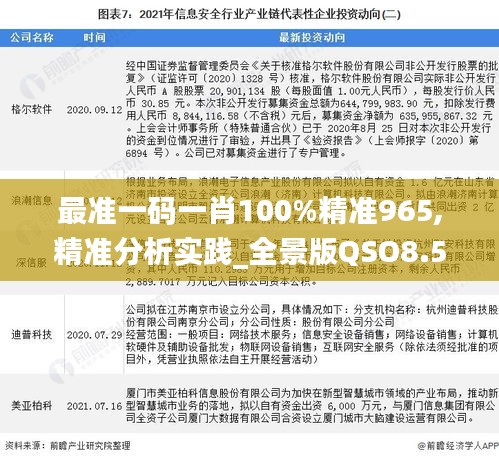 最准一码一肖100%精准965,精准分析实践_全景版QSO8.53