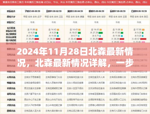 北森最新动态详解，关键信息与任务操作指南（2024年11月28日更新）