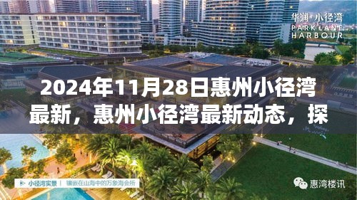 惠州小径湾最新动态探索，海滨生活的未来展望（2024年11月版）