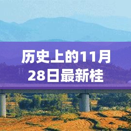 探寻自然美景之旅，历史上的桂鱼行情与内心平静的喜悦体验