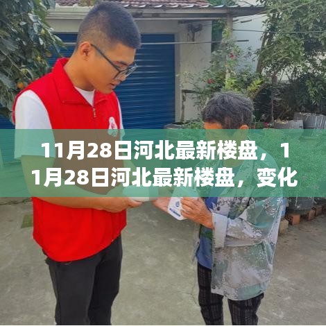 河北最新楼盘动态，变化中的家园与自信力量的源泉